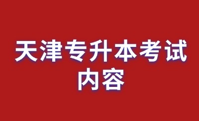 天津?qū)Ｉ究荚噧?nèi)容